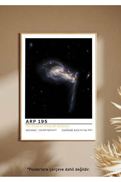 One Little Happiness Αφίσα Αφίσα Αισθητική Αφίσα Τοίχου, Αφίσα χωρίς πλαίσιο