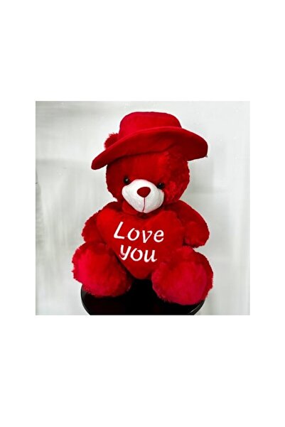 E EFRALL Red Teddy Bear with Heart and Hat, 25 cm