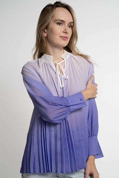 mica Women's Long Sleeve Sheer Pleated Blouse