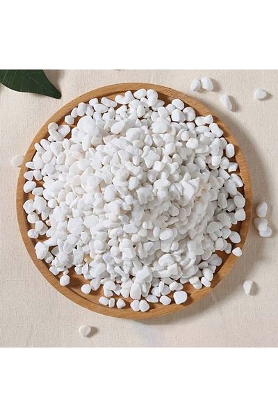 Choice 200g 200g Natural River Rocks for Garden Landscaping White Pebbles Decorative Stones for Plants-Succ