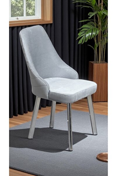 Kaktüs Avm 2 Adet Erciyes Sandalye Mutfak Cafe Restaurant Proje Metal Lüks Sandalye