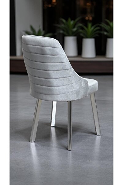 Kaktüs Avm 2 Adet Erciyes Sandalye Mutfak Cafe Restaurant Proje Metal Lüks Sandalye