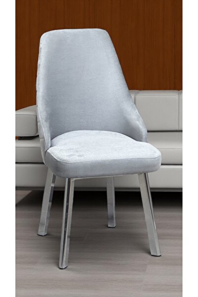 Kaktüs Avm 2 Adet Erciyes Sandalye Mutfak Cafe Restaurant Proje Metal Lüks Sandalye