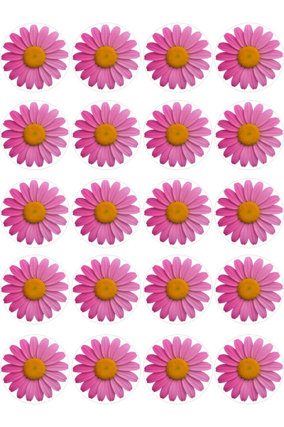 BatıDoğu Papatya Yenilebilir Yuvarlak Kurabiye Resim Baskı