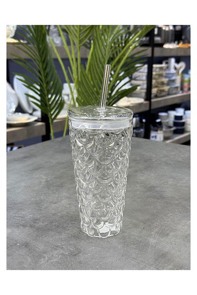 Doğudeko Borosilicate Glass Luxury Glass with Straw 500 ml
