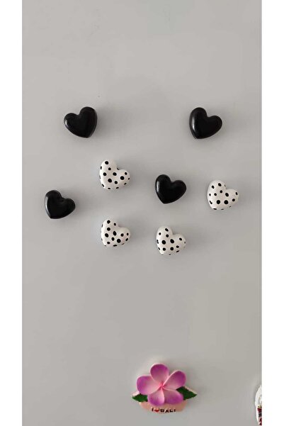 STELLA CANDLE WORKSHOP Magnet - Buzdolabı Magneti - Buzdolabı Süsü - 8’li Kal...