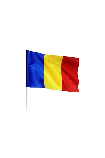 SDX Market Set of 50 tricolor flags 30 cm x 45 cm, Romania / flag / banner