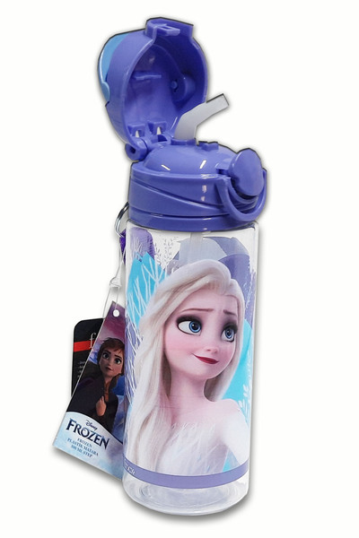 welissa Licensed Frozen School Water Bottle with Straw 500 ml