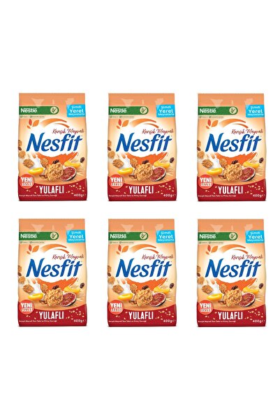 Nesfit Karışık Meyveli 400Gr x 6 Adet