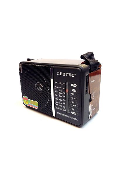 OEM Leotec LT-614 radio with 4 radio bands, 220v power supply