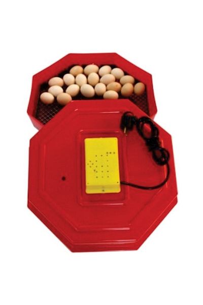 ertone Incubator electric 60 ouă de găină - 150 ouă de prepeliță CLEO 5