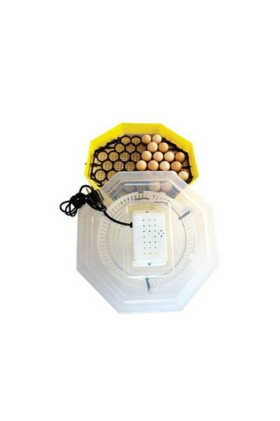 Zilan Incubator pentru oua Cleo5, 100 W, 220 V