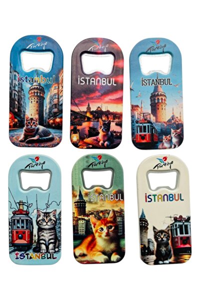 GALATA GIFT Bottle Opener, Opener Magnet (6) Pieces Istanbul Themed Refrigerator Magnet, Soda Soda Pop Opener 9cm