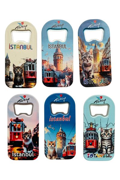 GALATA GIFT Bottle Opener, Opener Magnet (6) Pieces Istanbul Themed Refrigerator Magnet, Soda Soda Pop Opener 9cm