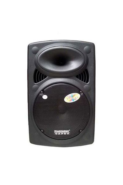Temeisheng Boxă portabilă profesională tip troleibuz, putere 1600 W