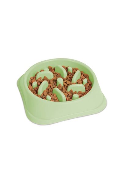 Primlife Slow Feeding Bowl for Cats and Dogs, 20 x 20 x 4.5 cm, Green