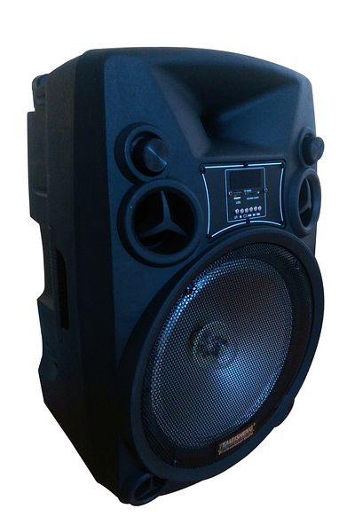 Temeisheng Professional Speaker, 600w Power For Karaoke
