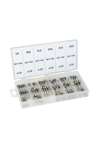 Primlife Set siguranțe din sticlă în cutie de depozitare 120 buc 530a