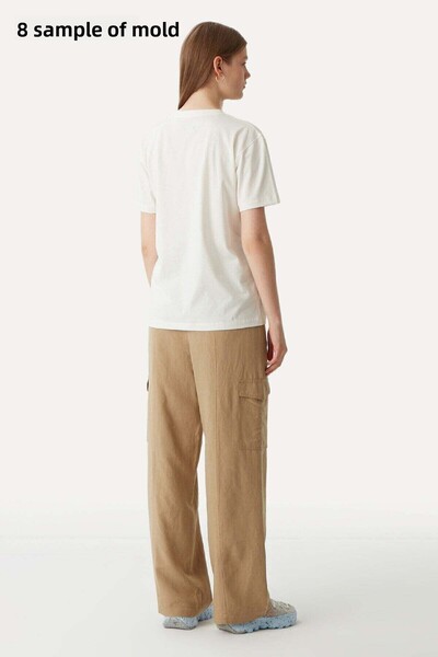 WWF Market Tiger Soft T-Shirt - Ανοιχτό Γκρι