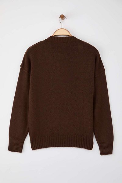 Trendyol Collection Brown Wool Premium Yarn/Special Yarn Basic Wide Fit Knitwear Sweater Twoaw26Kz00068