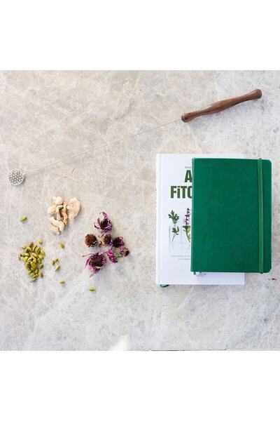 BİYOFREKANS SİSTEMLERİ Yaşam Çiçeği Tenzörü