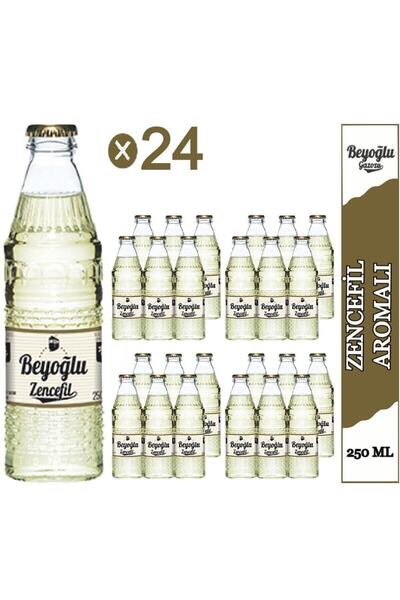 Beyoğlu Gazozu Beyoğlu Zencefilli Gazoz 24x250 ML