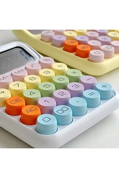 BEYZANA Pinterest Renkli Hesap Makinesi | 10 Haneli Yuvarlak Tuşlu Şirin Hesap Makinesi