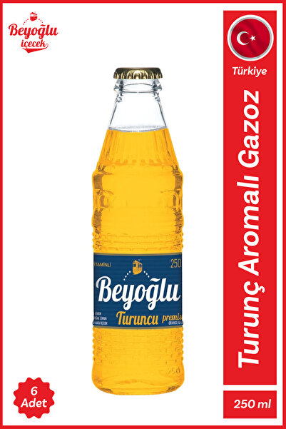 Beyoğlu Gazlı İçecek Mix-2 24x250 ML