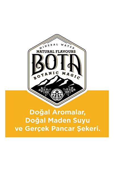 bota Ginger Ale Original Recipe Tonic 6x250 Ml