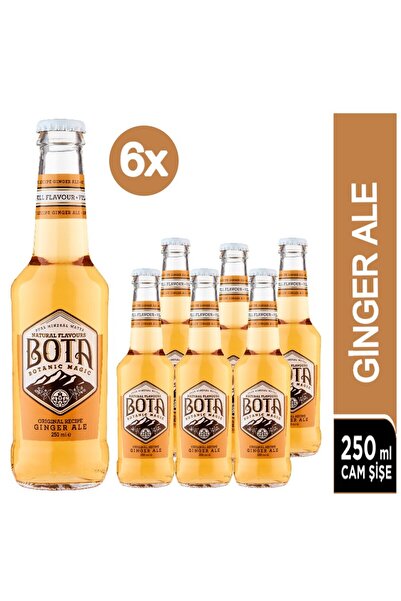 bota Ginger Ale Original Recipe Tonic 6x250 Ml
