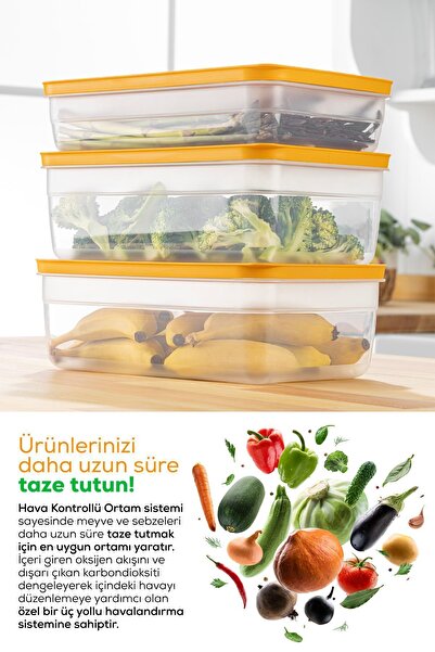 Vienev 5-Liter Mint 3-Piece Vegetable and Fruit Storage Set