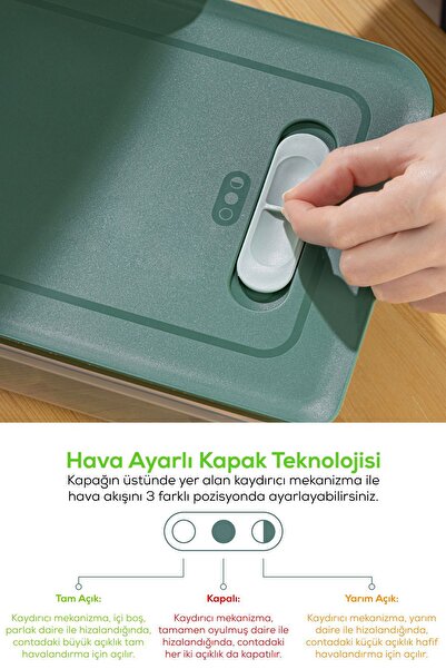 Vienev Mint Colored 6-Piece Adjustable Vegetable and Fruit Storage Set - 2.5-3.8-5 Liters