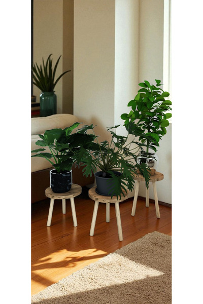 HESA Saksılık Çiçeklik 3lü Atlantik Çam desenli ahşap ayaklı