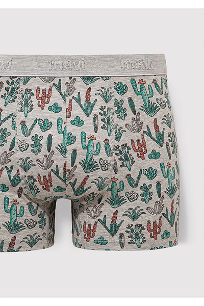 Mavi Boxer gri cu model cactus 091122-23854