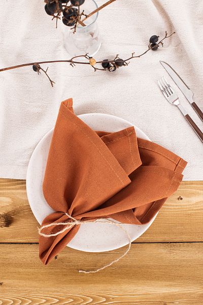 Wellstil Premium |   Set of 2 Linen Cinnamon Napkins 40 X 40 cm