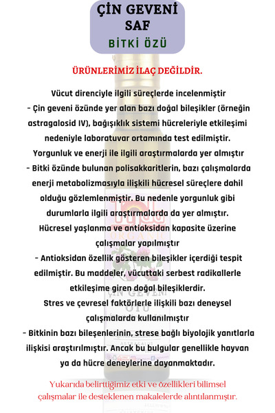 TİJDA Çin Geveni Saf Bitki Özü Astragalus 250 ml (Astragalus membranaceus)