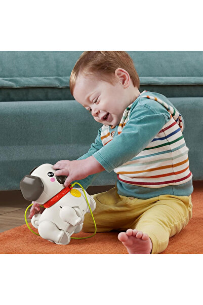 FISHER PRICE Fisher-Price Minik Dostumla Yürüyüş HTW94