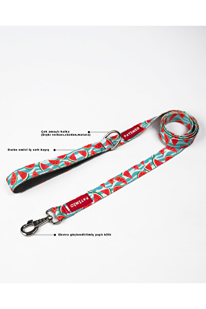 PATİMİO Watermelon Model Luxury Dog Walking Collar