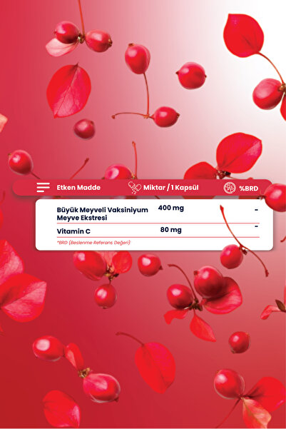 Smartcaps Wellberry Cranberry 30 Kapsül