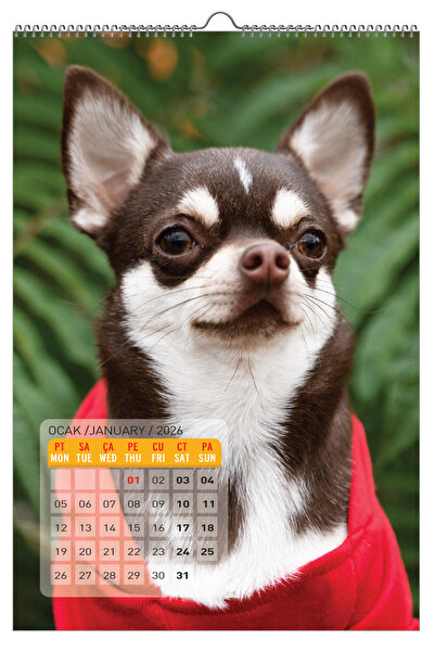 NATURELBASIM 2026 KÖPEK / DOGE DUVAR TAKVİMİ 33x48 cm