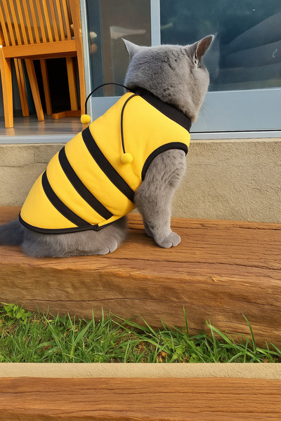 Monopetz Yeni Sezon Köpek Ve Kedi Kıyafeti - Arı Maya - M Beden