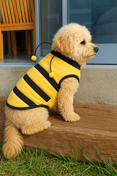 Monopetz Yeni Sezon Köpek Ve Kedi Kıyafeti - Arı Maya