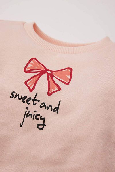 DeFacto Baby Girl Crew Neck Printed Soft Furry Inside Sweatshirt E2944A525Sp
