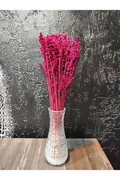 ÇINARASYADAHOME Buchet de lavandă uscată, înfiorătă