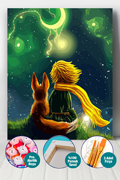 Picasso World Hobby Art Sayılarla Boyama Numaralı Tuval Seti Fırça Boya Dahil...