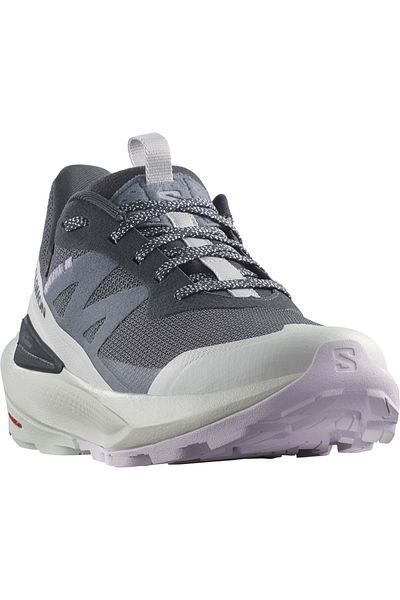 Salomon Унисекс маратонки за бягане по планински преходи Elixir Activ Gtx Gore-Tex® L47456400, ЛИЛАВИ