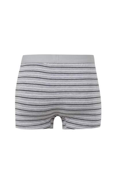 DeFacto Erkek Çizgili 3lü Boxer E0029AX24WN