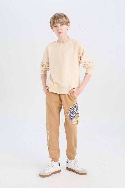 DeFacto Pantaloni de trening groși, cu talie elastică, imprimați pentru băieți D7213a824wn