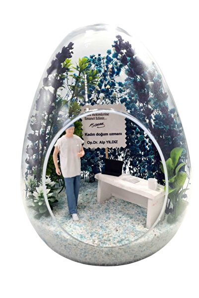 Genel Markalar Erkek Jinekolog Doktor Teraryum Yumurta Cam Fanus Özel Üretim Doktora Sağlıkçılara Hediyelik