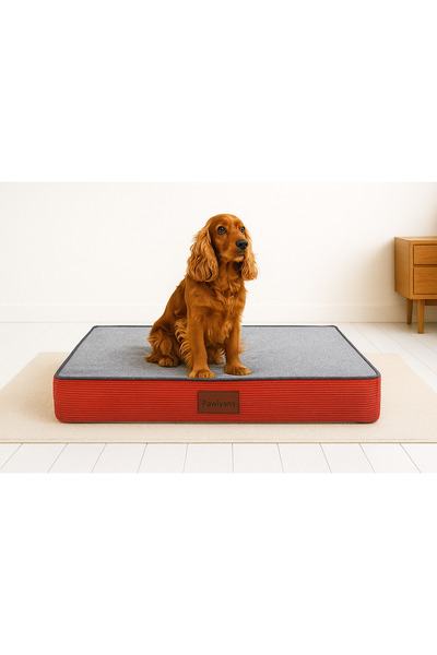 PAWİYANS Matfoam Üst Kalite,10cm Süngerli ,sıvı Geçirmez Alezli, Yıkanabilir ...